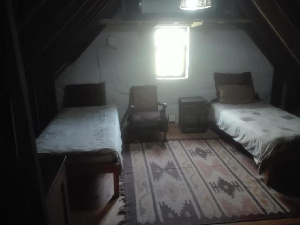 Emerald Hill Cottage بورت اليزابيث المظهر الخارجي الصورة